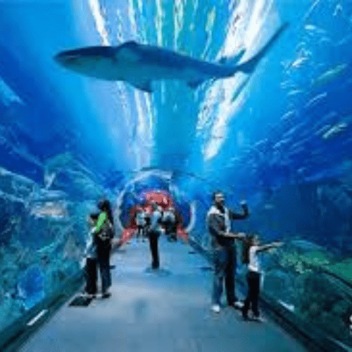 aquarium dubai