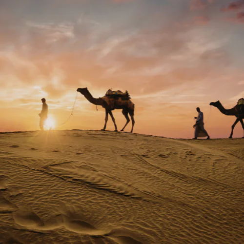 camel riding