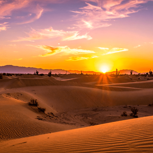 desert sunset