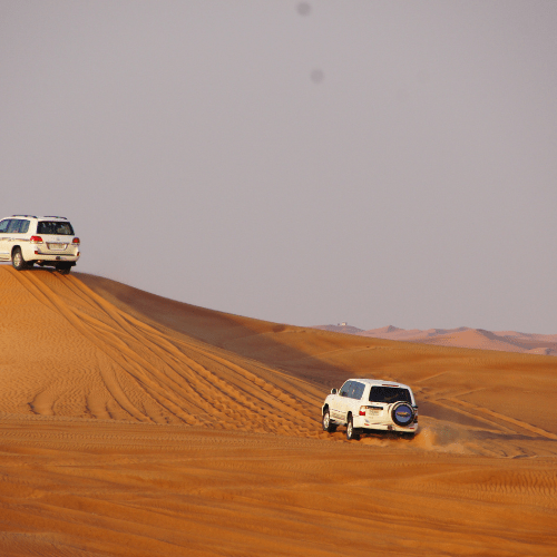 dune bashing img 1