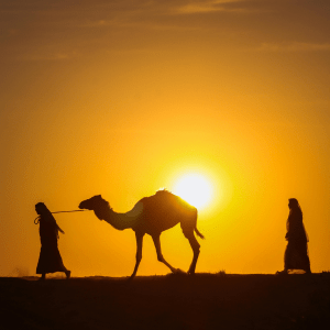 evening desert dubai