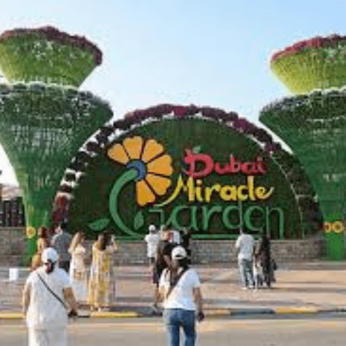 miracle garden dubai