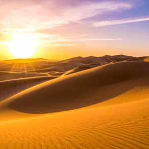 morning desert dubai