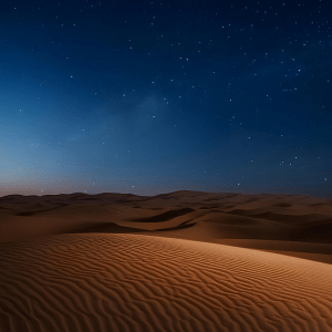 overnight desert dubai