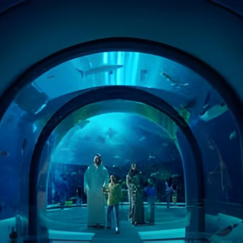sea world dubai