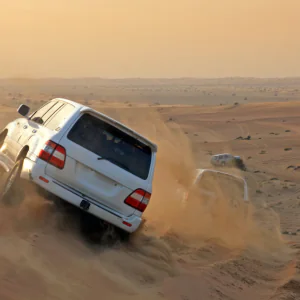 vip desert dubai